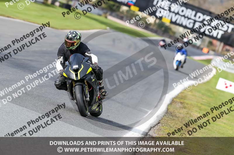 Oulton Park 21st March 2020;PJ Motorsport Photography 2020;anglesey;brands hatch;cadwell park;croft;donington park;enduro digital images;event digital images;eventdigitalimages;mallory;no limits;oulton park;peter wileman photography;racing digital images;silverstone;snetterton;trackday digital images;trackday photos;vmcc banbury run;welsh 2 day enduro